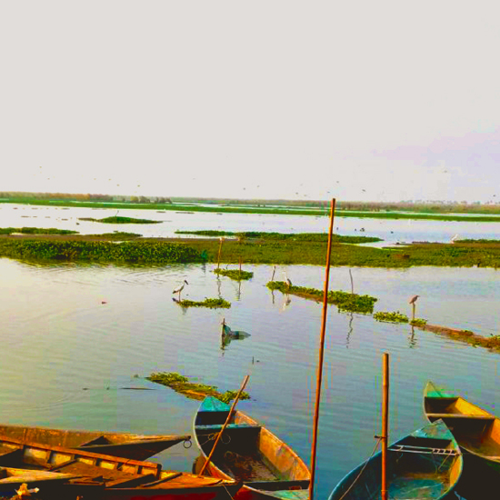 Disaster Preparedness